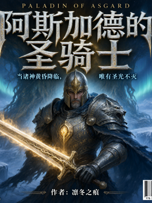 阿斯加德的圣骑士