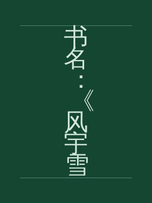书名：《风宇雪